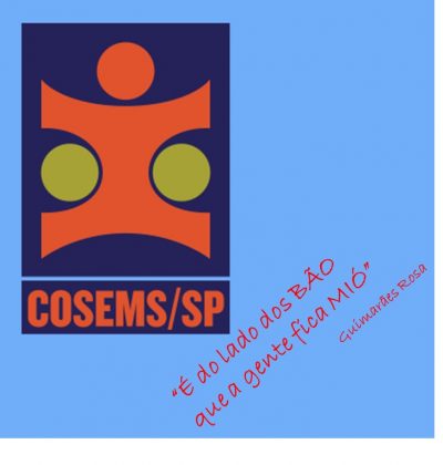 2020/2021 – DRS III Araraquara em movimentos regionais na busca de estratégias coletivas de enfrentamento ao COVID-19 – o olhar do apoio institucional COSEMS/SP