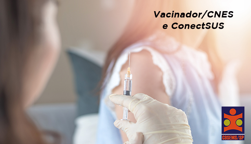 Inserção de dados: Vacinador/CNES e ConectSUS