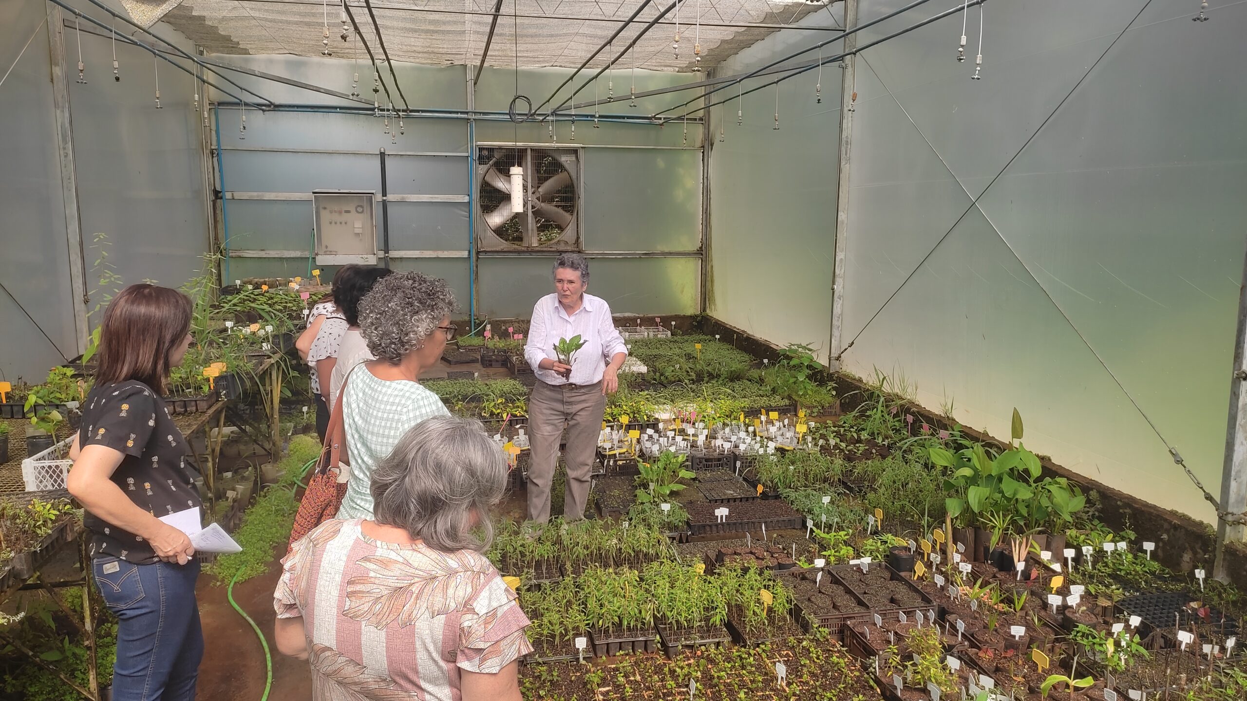 COSEMS/SP e SES/SP promovem a Web-Conferência – Panorama Estadual de Fitoterápicos, Plantas Medicinais e Aromáticas do Estado de SP
