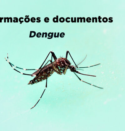 Informações e documentos de apoio à gestão municipal relacionados à Dengue